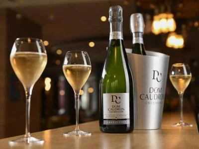 Thumbnail Meunier Experience at Champagne Dom Caudron