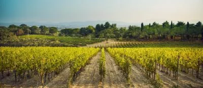 Thumbnail Die Weinprobe auf dem Bauernhof der Fattoria di Magliano in der Maremma