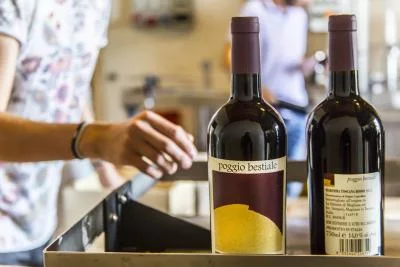 Thumbnail The Picnic Tasting Experience at Fattoria di Magliano in Maremma
