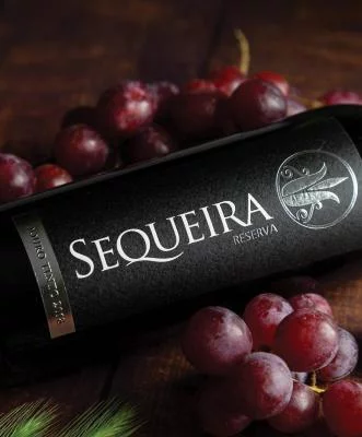 Thumbnail Premium Wine Tasting at Quinta da Sequeira