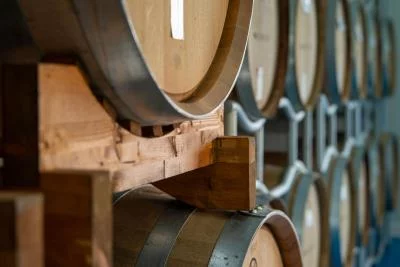 Thumbnail Cantine Harmonia: Vineyard, Cellar & 3-Wine Tasting in Puglia