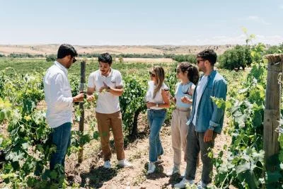 Thumbnail Private Setúbal Wine Tour from Lisbon with Tastings & Scenic Stops