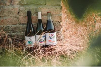 Thumbnail Moasca: To Sip and Beyond – Wine & Cheese Experience at Tenuta Il Nespolo