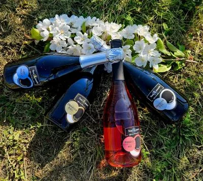 Thumbnail Prosecco Heritage: The Four Shades of Treviso Bubbles at Cantina Sant'Antonio