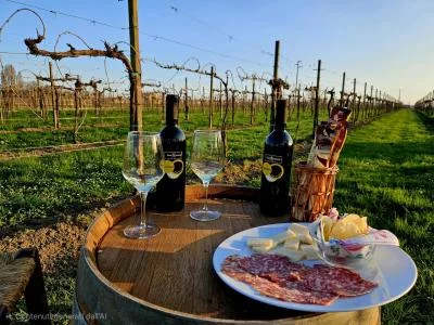 Thumbnail Die Welt in einem Glas: Eine internationale Verkostung auf dem Weingut Sant'Antonio