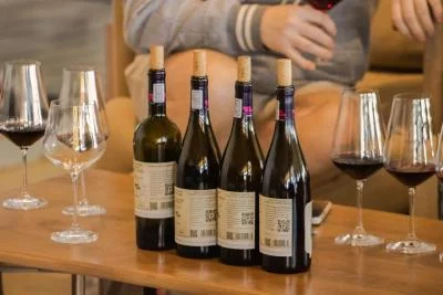 Thumbnail Story Teller Collection Wine Tasting at La Vierge Wines in Hermanus, South Africa