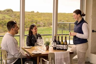 Thumbnail Macaron Pairing at La Vierge Winery, Hermanus, South Africa
