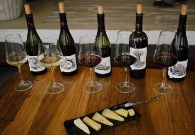 Thumbnail Wine & Cheese Pairing at La Vierge Winery in Hermanus, South Africa