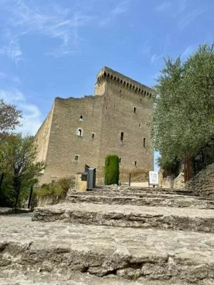 Thumbnail Wine tour di Châteauneuf-du-Pape: Grand Crus, Villaggio Provenzale, Vino e Cioccolato, Pranzo nei Vigneti