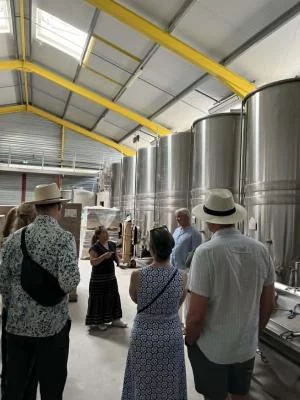 Thumbnail Wine tour del Ventoux e del Luberon: Degustazioni di vini, terroir e pranzo nei vigneti