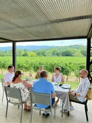 Thumbnail Ventoux & Luberon Wine Tour: Wine tastings, Terroir & Lunch in the Vineyards