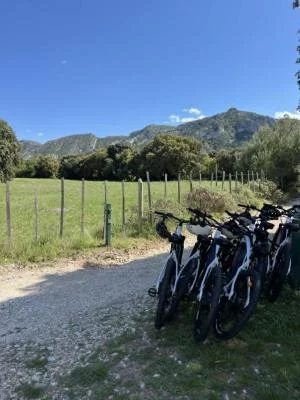 Thumbnail Gourmet E-bike Ride around Saint-Rémy-de-Provence: Wines, Farms & Local Flavors