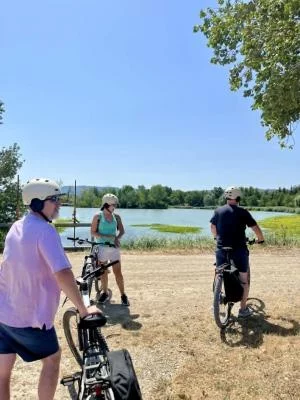 Thumbnail Gourmet E-bike Ride around Saint-Rémy-de-Provence: Wines, Farms & Local Flavors