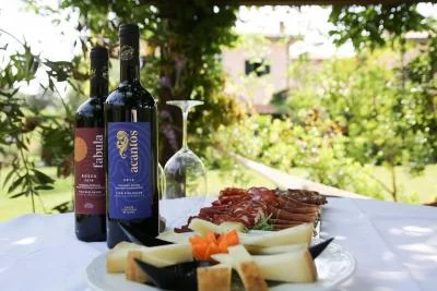 Thumbnail Pranzo con degustazione di vini biologici presso Montebelli in Maremma