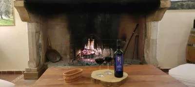 Thumbnail Organic Wine Tasting Lunch at Montebelli Estate in Maremma