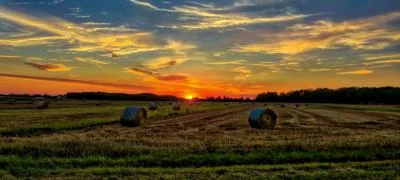 Thumbnail Firenze: Wine tour del Chianti al tramonto con degustazioni e cena