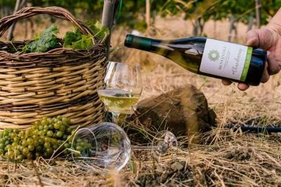 Thumbnail Semantile High Altitude Wine Experience in the Nebrodi Mountains
