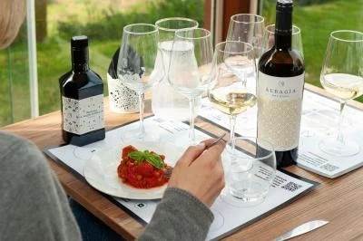 Thumbnail Colección Volcánica: Premium Wine, Gin &amp; Food Pairing Experience en Eredi dei Papi