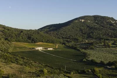 Thumbnail Cata de vinos y delicias locales en Poggio al Rigoloccio en Maremma