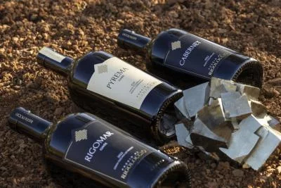 Thumbnail Degustazione di vini e prelibatezze locali al Poggio al Rigoloccio in Maremma