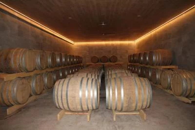 Thumbnail Esperienza di vino biologico e biodinamico a Casa Balaguer