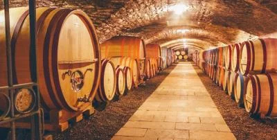 Thumbnail Tour guidato in bicicletta della Borgogna e degustazione di vini da Beaune