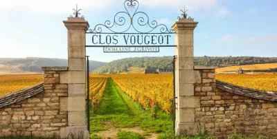 Thumbnail Visite autoguidée de la Côte de Nuits en Bourgogne à vélo et en voiture au départ de Dijon