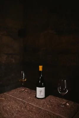 Thumbnail Musco: The Etuscan Cave Wine with Lunch at Palazzone