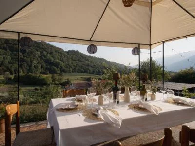 Thumbnail From White to Red: Exclusive Wine Experience in the Prosecco Hills