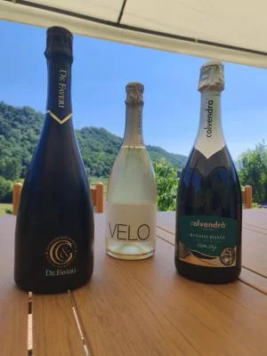 Thumbnail Von Weiß zu Rot: Exklusives Weinerlebnis in den Prosecco-Hügeln