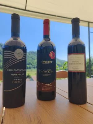 Thumbnail Du blanc au rouge : Wine experience exclusive dans les collines du Prosecco