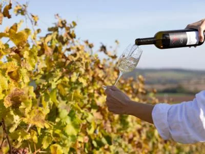 Thumbnail expérience de dégustation de 12 vins à la Vinařství Fučík à Mikulov