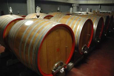 Thumbnail Visita a una Bodega en Salento con cata de vinos y almuerzo ligero desde Lecce