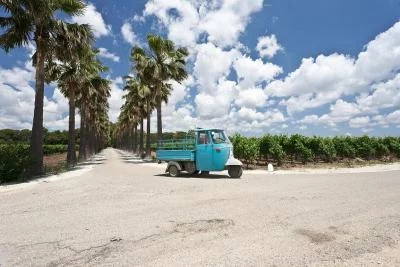 Thumbnail Visit to a Winery in Salento with Wine tasting and light lunch from Lecce