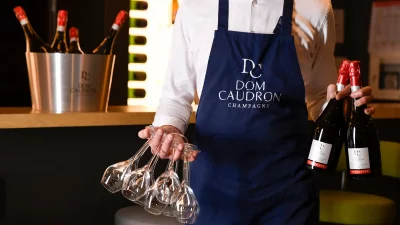 Thumbnail Prestige Tour & Champagne Tasting at Dom Caudron in Passy-Grigny