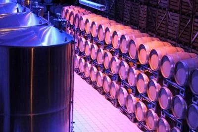 Thumbnail Tour esclusivo e degustazione di champagne presso Dom Caudron a Passy-Grigny