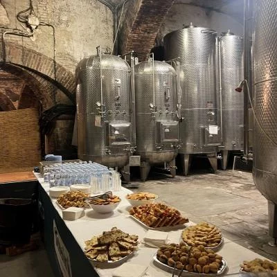 Thumbnail Visita al castello e degustazione di vino con il marchese al Castello di Tagliolo nel Monferrato