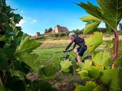 Thumbnail CicloDiVino – Geführte Radtour mit Weinproben auf weingütern in den Hügeln von Ovada