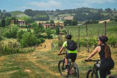 Thumbnail CicloDiVino Guided Bike Tour with Winery Tastings in the Hills of Ovada