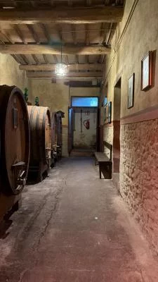 Thumbnail L’Abbiocco Wine Tasting at Cantina Fongoli