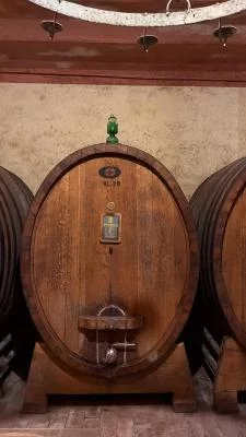 Thumbnail Cata de vinos L'Abbiocco en la Cantina Fongoli