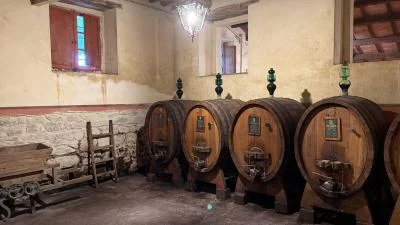 Thumbnail Dégustation de vin L'Abbiocco à la Cantina Fongoli