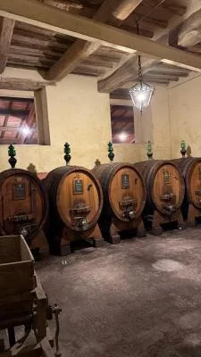 Thumbnail Dégustation de vin Lo Scialo à la Cantina Fongoli