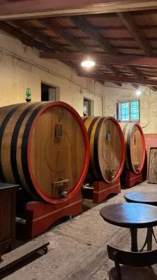 Thumbnail Lo Scialo Weinprobe in der Cantina Fongoli