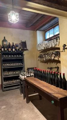 Thumbnail Lo Scialo Wine Tasting at Cantina Fongoli