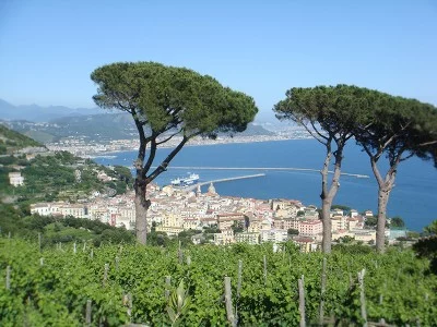 Thumbnail Degustazione in una favolosa cantina in Costiera Amalfitana