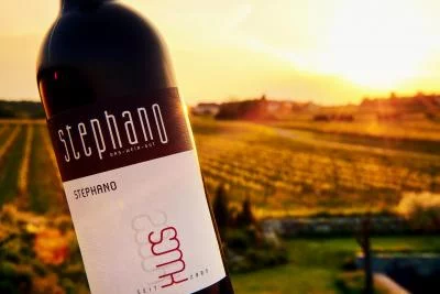 Thumbnail StephanO : expérience de dégustation de vin à Eisenberg