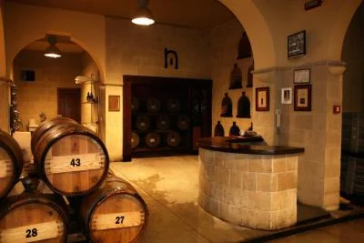 Thumbnail Falernum Wine Tour with Light Lunch at Società Agricola Nugnes