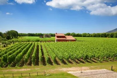Thumbnail Wine Tour Falernum, the wine of the emperor —  Full Experience with lunch at Nugnes