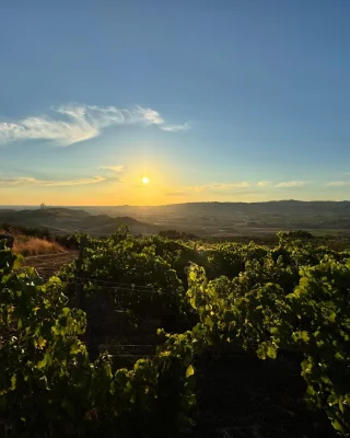 Thumbnail Aperitivo al tramonto sulla terrazza della Cantina Funaro, Sicilia